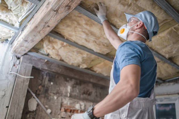 Best Eco-Friendly Insulation in Lake City, SC