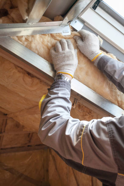 Best Fiberglass Insulation in Lake City, SC