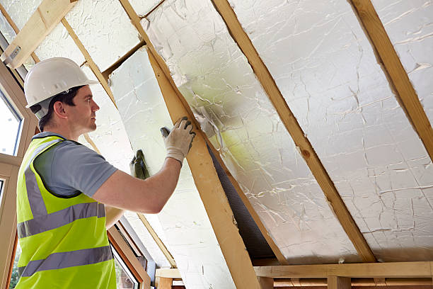 Best Commercial Insulation in Lake City, SC