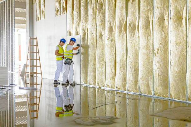 Trusted Lake City, SC Insulation Contractor Experts